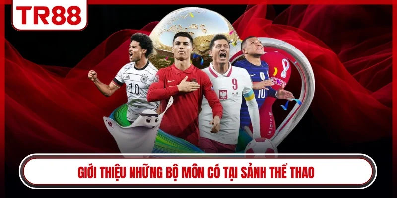 Giới thiệu những bộ môn có tại sảnh thể thao