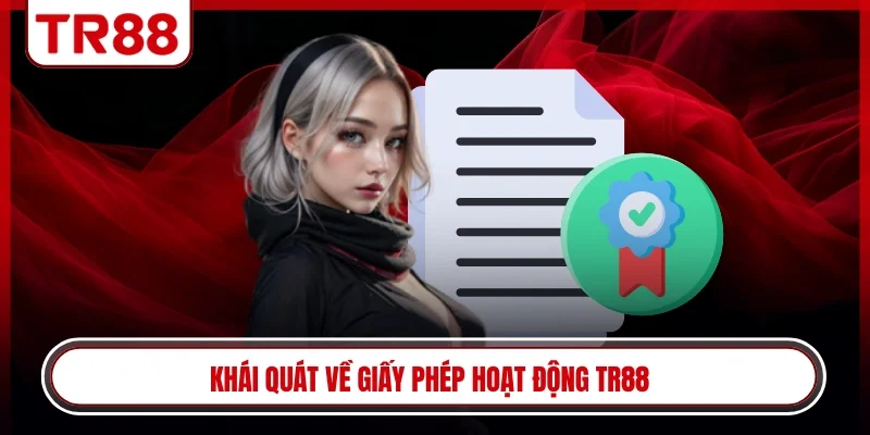 Khái quát về giấy phép hoạt động TR88