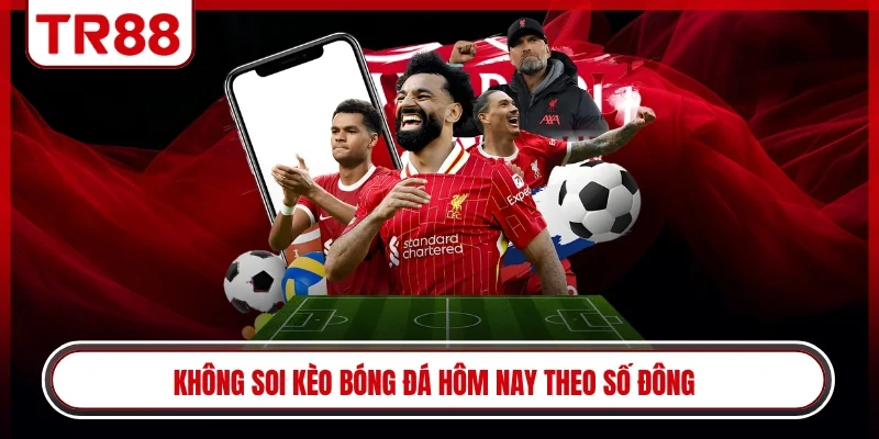Không soi kèo bóng đá hôm nay theo số đông
