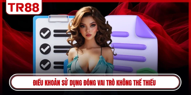 Điều khoản sử dụng đóng vai trò không thể thiếu 